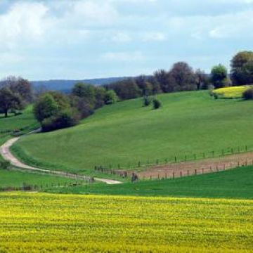 Agriculture et viticulture